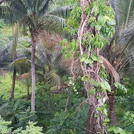 Hill Bottom Accommodation Suva Exterior foto